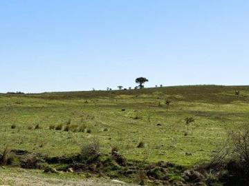 A Peaceful Lifestyle Block of 15.2 Acres with Endless Views