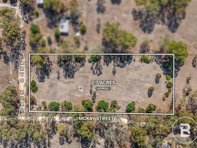 A Picturesque 2.5 Acre Lifestyle Block in Elmhurst