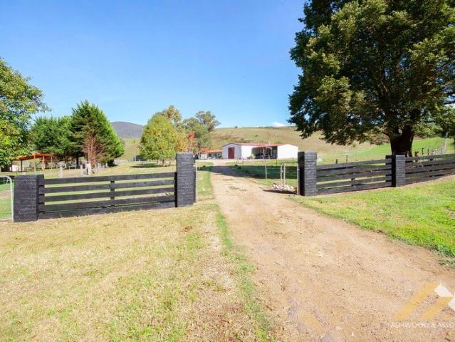 A PIECE OF DARGO PARADISE