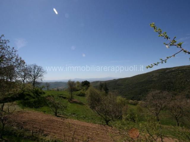 A pochi chilometri da Cortona, in posizione collinare e domi. 250m² Cortona