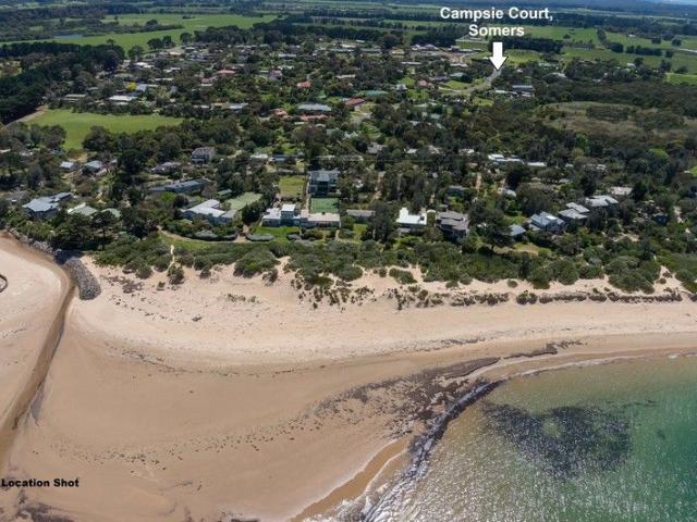 ULTIMATE BLANK CANVAS EXCEPTIONAL BUYING