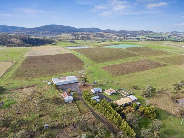 A Premium Vineyard Opportunity in Tasmania's Renowned Coal River Valley