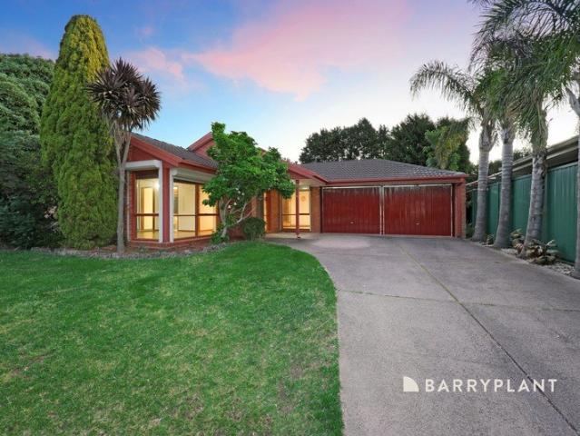A Prime Rowville Address on a Spacious, Level Allotment
