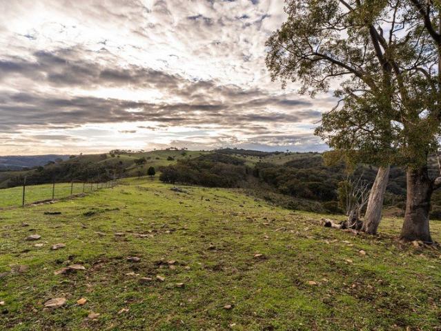 A Private Bushland Escape with Far Reaching Views