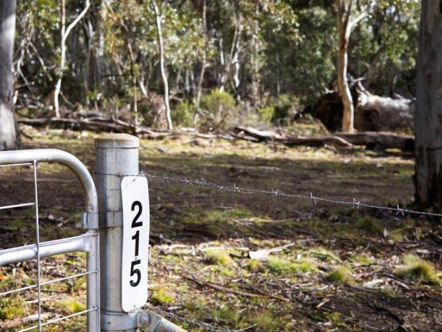 A Private Bushland Escape with Room to Build Your Vision