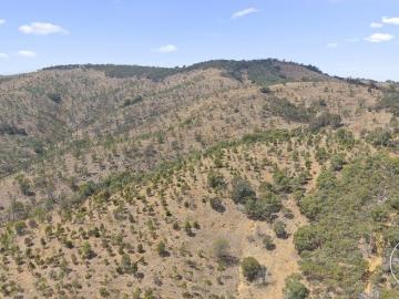 A Private Sanctuary Above the Clouds: 39.85 Hectares of Pure Aussie Bush