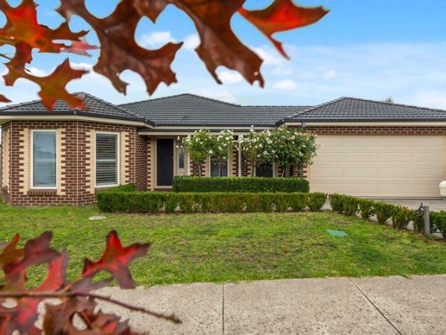 Flexible Living with Separate Studio Low Maintenance Gisborne Lifestyle