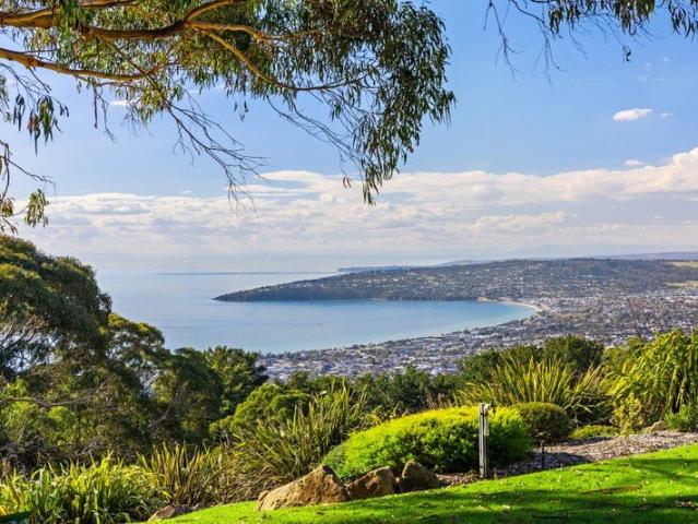 A private world above the bay