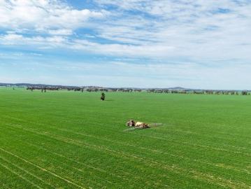 A productive mixed farming aggregation located in the renowned Riverina region