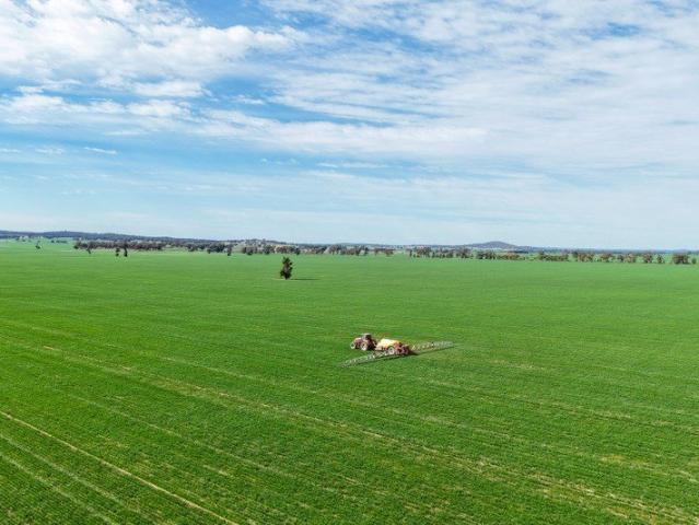 A productive mixed farming aggregation located in the renowned Riverina region