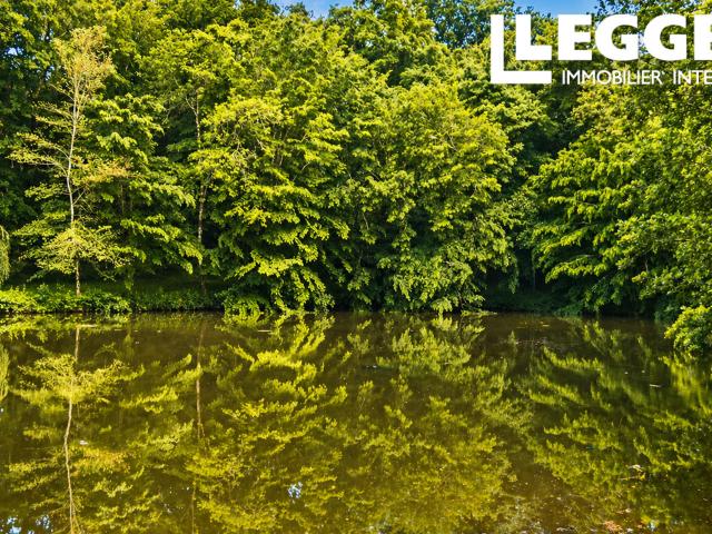 A quelques minutes de Marmande, agréable maison en pierre sur plus de 7ha de bois avec petit lac privé