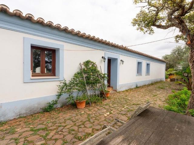 A quinta no Oeste do Algarve com 15 hectares à venda 137m² Barão De São Miguel