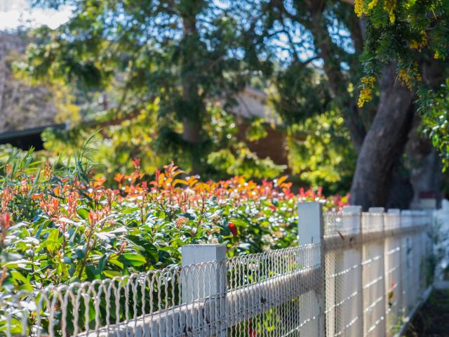 A Quintessential Original Highlands Weatherboard | Ready To Enjoy