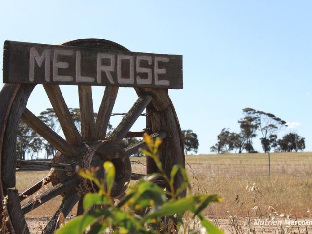 A RURAL LIFESTYLE ESCAPE WITH ROOM TO CREATE