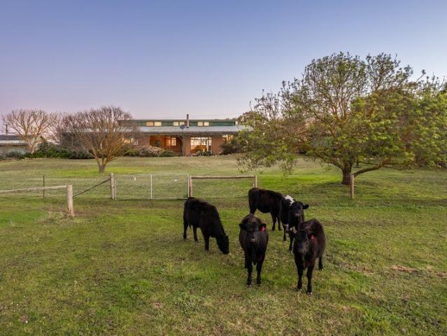 A Rural Retreat with Space, Soul & Endless Views