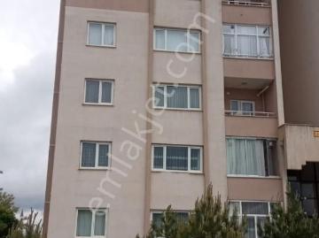 Ağrı ili, Doğu Anadolu Bölgesi - Ofis odası
