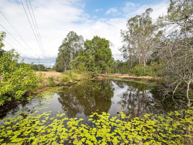 A Rare 1.45ha Canvas in the Heart of Anstead