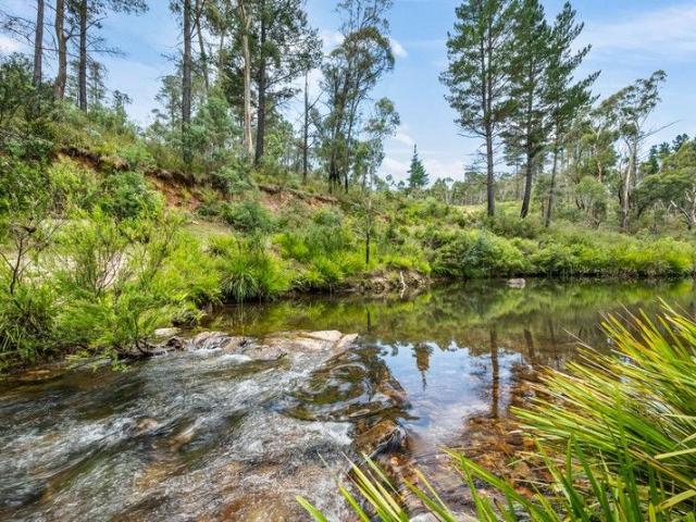 285 Acres of Riverfront Adventure & Multi Generational Living