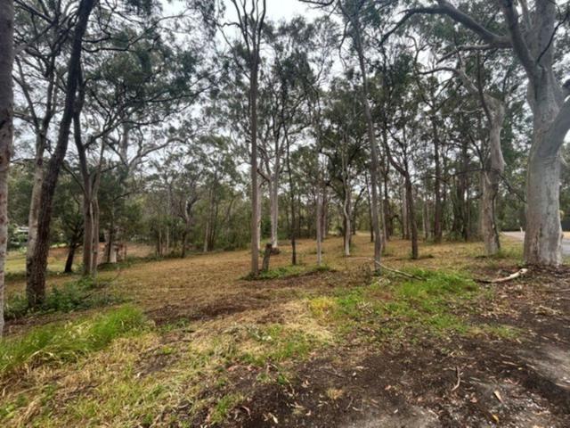 A Rare 4,047m² Corner Block in a Peaceful Location