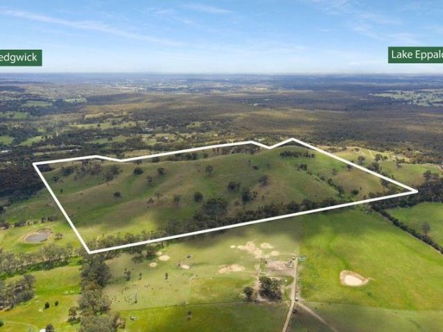A Rare 57.7 Hectare Lifestyle Sanctuary in Prestigious Sedgwick