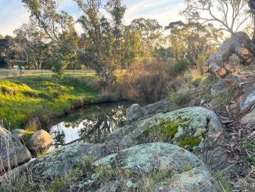 A Rare 5 Acre Property with Creek, Views & Space to Build