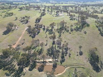 A Rare Conservation Lifestyle Opportunity 40ha of Biodiversity Bliss