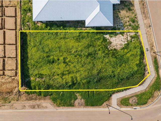 A Rare Corner Opportunity in the Heart of Newenham