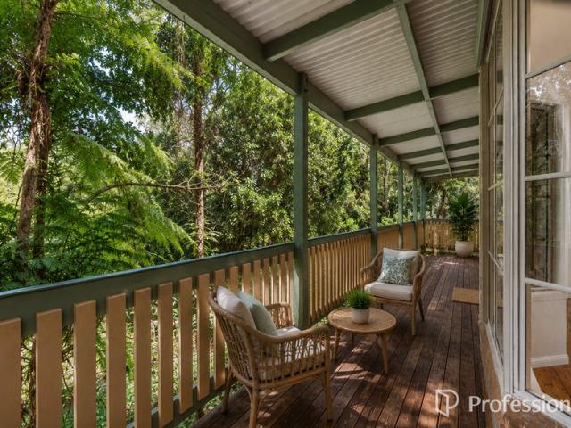 A Rare Cabin Retreat in the Heart of Tamborine Mountain