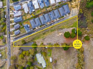 A Rare Acreage Opportunity in Mount Pleasant