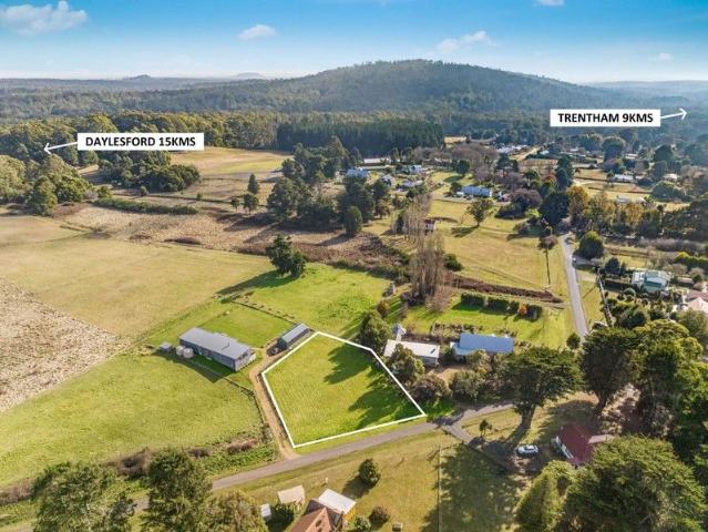 A Rare Allotment in the Heart of Lyonville
