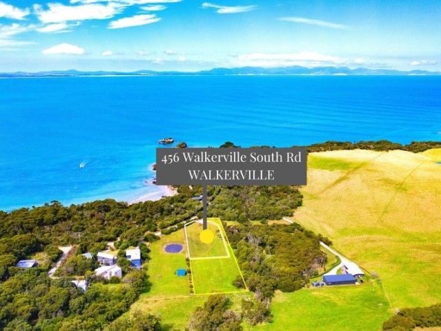 A Rare Opportunity in Walkerville