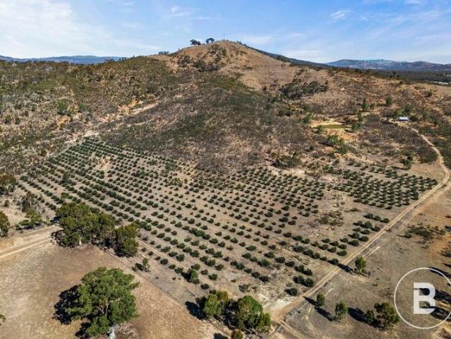 A Rare Opportunity in the Heart of the Pyrenees Ranges