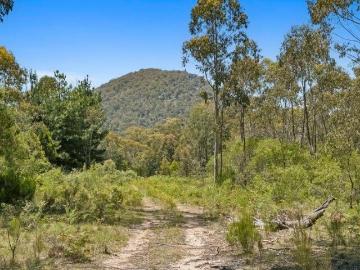 A Rare Large Scale Native Forest Holding