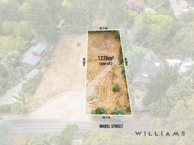 A RARE LEVEL ALLOTMENT OF 1226sqm IN A PRIME STIRLING POSITION Moments to Stirling's Main Street and ready to bring your Hills dream to life