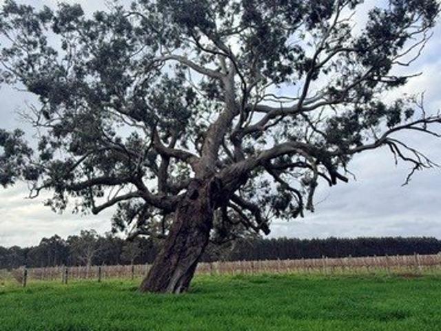 A Rare Lifestyle Opportunity on 10 Hectares 24.7 Acres