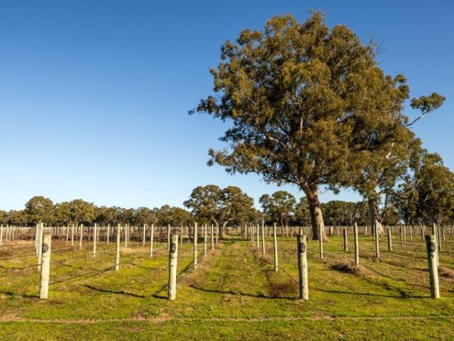 A Rare Lifestyle Opportunity on 10 Hectares