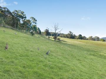 A Rare Lifestyle Opportunity in Scenic South Bowenfels