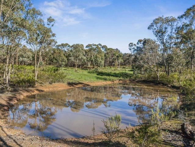 A rare lifestyle opportunity with planning permit, weekender and 20 acres