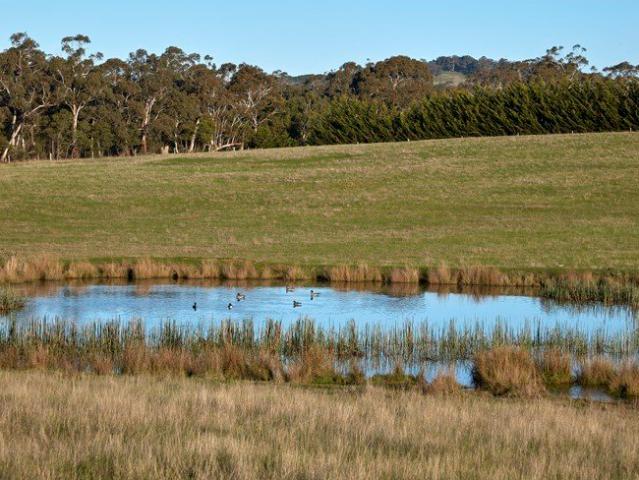 A Rare Macedon Ranges Landholding of Scale, Views and Unlimited Potential