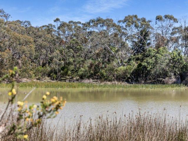 A rare Peninsula retreat 22 acres of untouched beauty