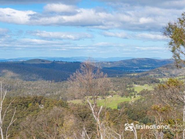 A Rare Piece of Tasmania Perched on High