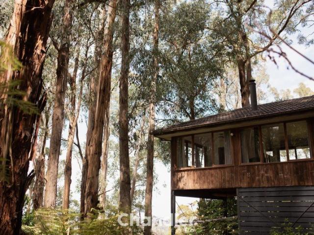 A Rare Private Rainforest Retreat with Resort Style Luxury