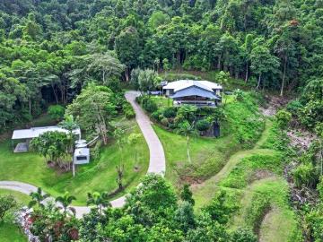 A Rare Rainforest Sanctuary