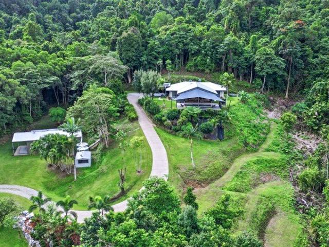 A Rare Rainforest Sanctuary