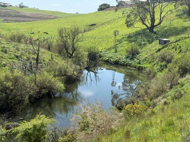 A Rare Riverside Lifestyle Opportunity