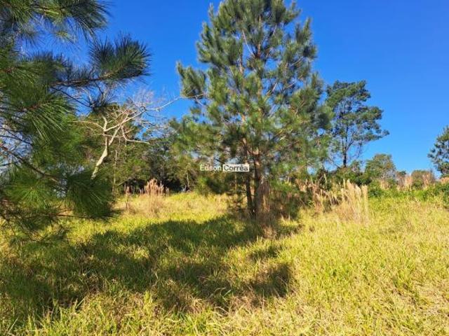 Área de 1.3 ha com linda vista em Taqauara