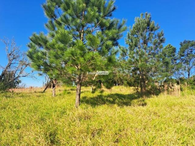Área de 1.3 ha com linda vista em Taqauara