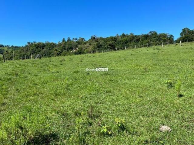 ÁREA PARA PECUARIA