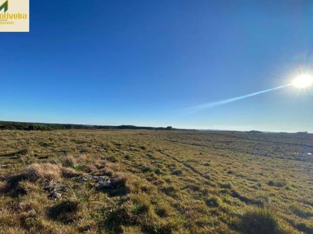 Área rural em São Chico!
