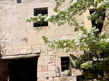 Ağırnas Merkezde Tadilat Gerektiren Müstakil Ev 248m²